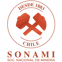 logo_sonam2i